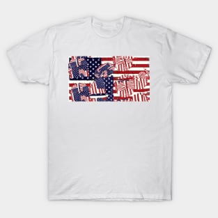 Stars and Stripes pattern T-Shirt